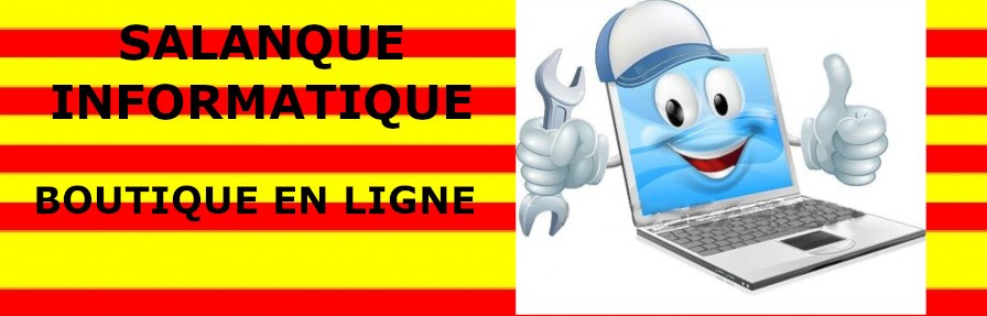 SALANQUE INFORMATIQUE